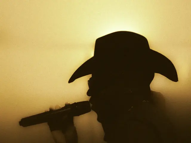 Modelo de site para rádio Arena Sertaneja, estilo Sertanejo